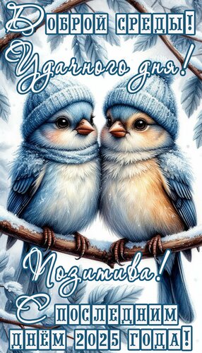 Открытка Среда