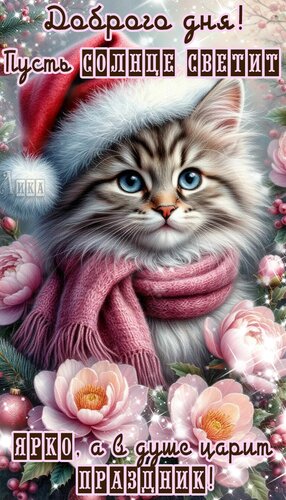 Открытка Добрый день