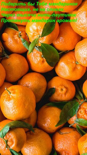 Открытка Подарить бы тебе мандаринок настоящих, не на словах. Через тысячи нить-паутинок Протянуть мандарин а