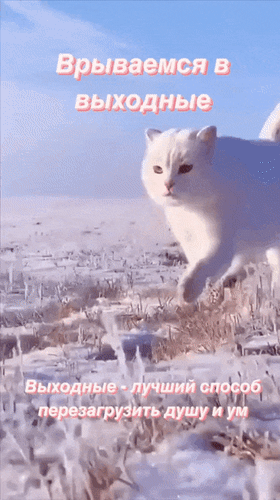 Анимированная открытка Врываемся в выходные. Выходные - лучший способ перезагрузить душу и ум.