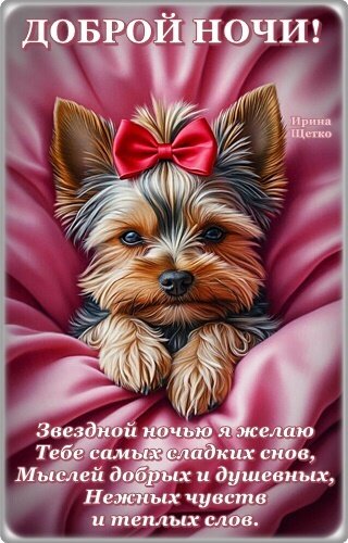 Открытка Доброй ночи!