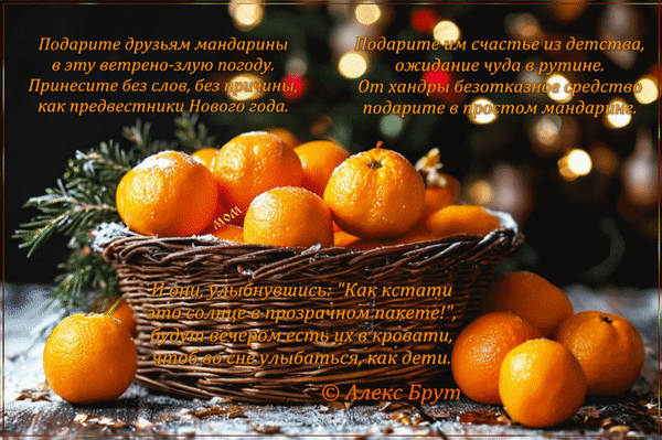 Анимированная открытка Подарите друзьям мандарины в эту ветрено-злую погоду. Принесите без слов, без причины, как предвестн