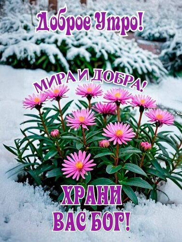 Открытка Доброе утро! Храни вас Бог!