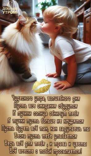 Открытка Чудесного утра