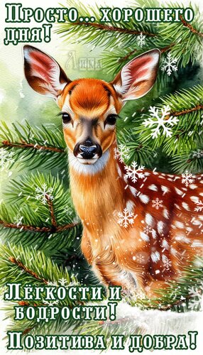 Открытка Добрый день
