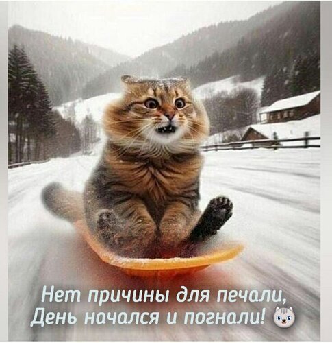 Открытка Добрый день!