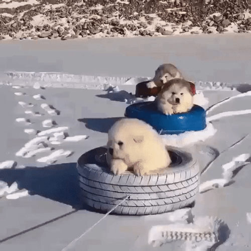 Анимированная открытка нет текста