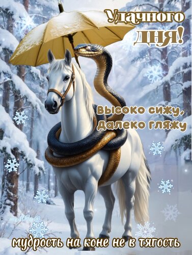 Открытка Мудрость на коне не в тягость. Удачного дня!