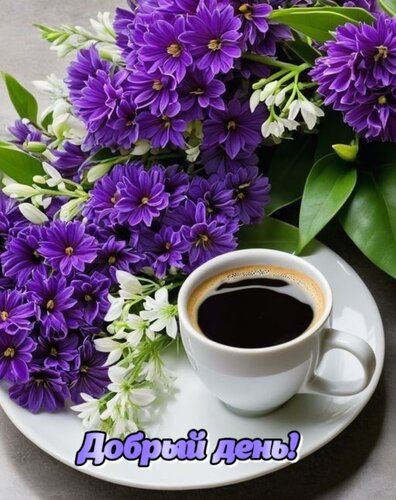 Открытка Добрый день!