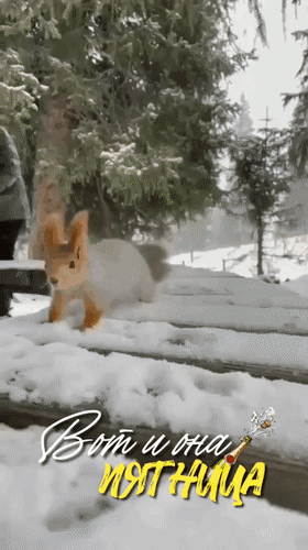 Анимированная открытка Вот и она - Пятница