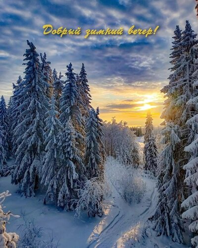 Открытка Добрый вечер!