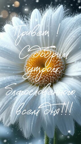 Открытка Привет. С добрым утром. Благословенного всем дня!