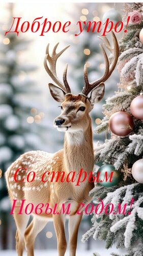 Открытка Доброе утро. Со старым новым годом