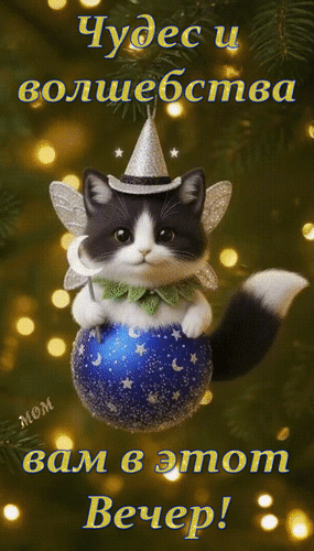 Анимированная открытка Чудес и волшебства вам в этот Вечер!