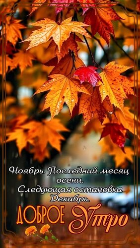 Открытка Доброе утро