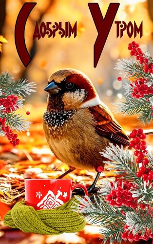 Открытка С добрым утром