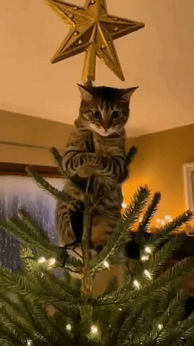 Анимированная открытка нет текста