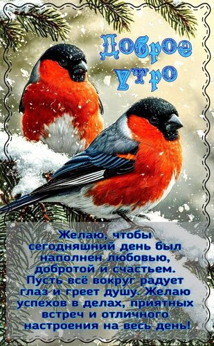 Открытка Доброе утро.