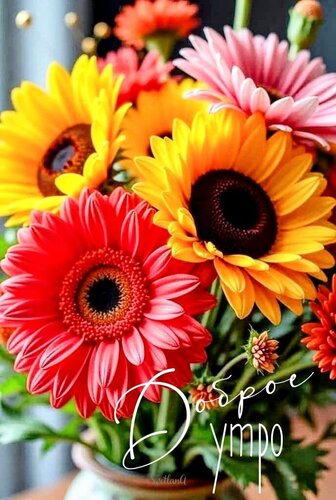 Открытка Доброе утро