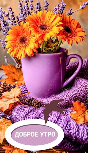 Открытка Доброе утро