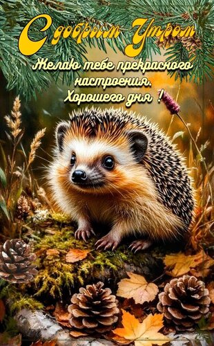 Открытка С добрым утром. Желаю тебе прекрасного настроения. Хорошего дня