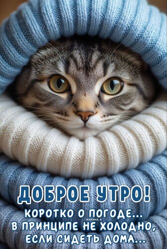 Открытка ДОБРОЕ УТРО! КОРОТКО О ПОГОДЕ... В ПРИНЦИПЕ НЕ ХОЛОДНО, ЕСЛИ СИДЕТЬ ДОМА...
