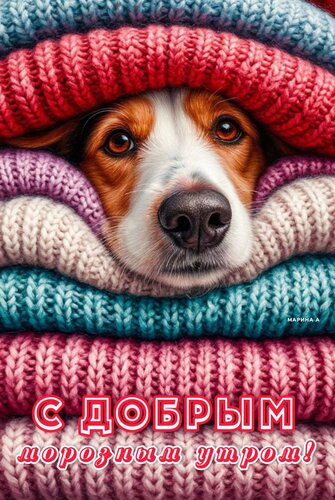 Открытка С ДОБРЫМ МОРОЗНЫМ УТРОМ!