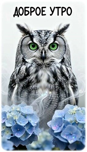Открытка Доброе утро!
