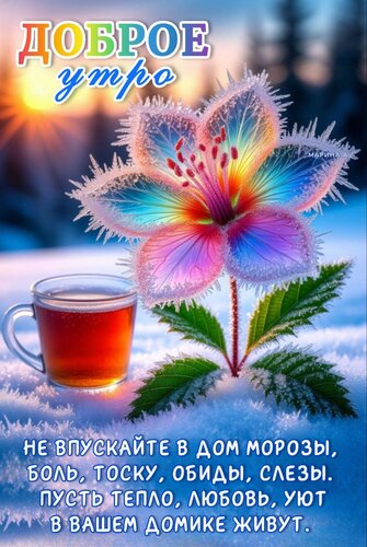 Открытка Доброе утро! Не впускайте в дом морозы, боль, тоску, обиды, слезы. Пусть тепло, любовь, уют в вашем домике живут.