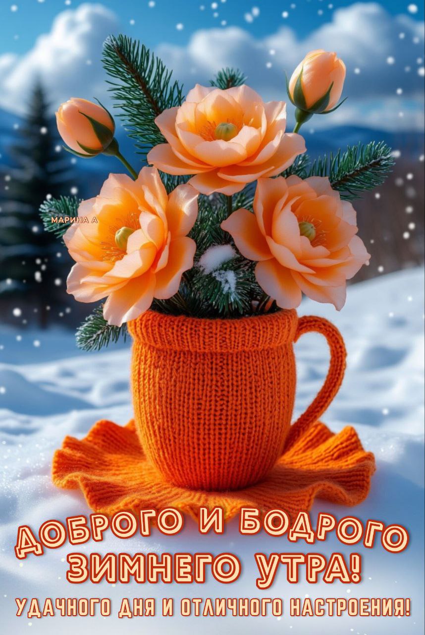 Открытка ДОБРОГО И БОДРОГО ЗИМНЕГО УТРА! УДАЧНОГО ДНЯ И ОТЛИЧНОГО НАСТРОЕНИЯ!