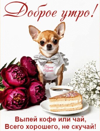 Открытка Доброе утро!