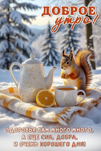Открытка ДОБРОЕ УТРО! ЗДОРОВЬЯ ВАМ МНОГО МНОГО, А ЕЩЕ СИЛ, ДОБРА, И ОЧЕНЬ ХОРОШЕГО ДНЯ!