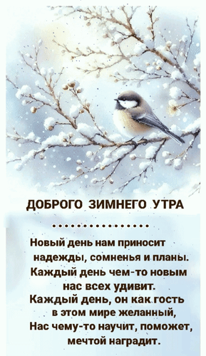 Открытка Доброго зимнего утра. Новый день нам приносит надежды, сомненья и планы. Каждый день чем-то новым