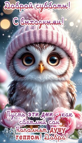 Открытка Суббота