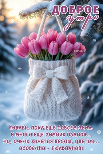 Открытка ДОБРОЕ УТРО! ЯНВАРЬ. ПОКА ЕЩЕ СОВСЕМ ЗИМА. И МНОГО ЕЩЕ ЗИМНИХ ПЛАНОВ... НО, ОЧЕНЬ ХОЧЕТСЯ ВЕСНЫ, ЦВЕ