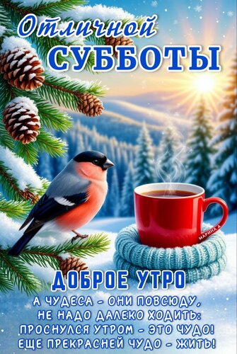 Открытка ОТЛИЧНОЙ СУББОТЫ! А ЧУДЕСА - ОНИ ПОВСЮДУ, НЕ НАДО ДАЛЕКО ХОДИТЬ: ПРОСНУЛСЯ УТРОМ - ЭТО ЧУДО! ЕЩЕ ПРЕ