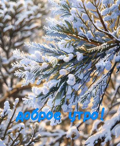 Анимированная открытка Доброе утро!