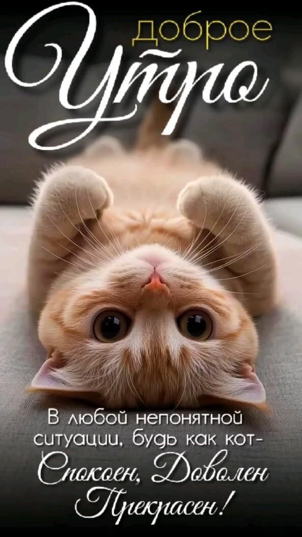 Открытка Доброе утро