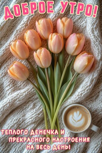 Открытка ДОБРОЕ УТРО! ТЕПЛОГО ДЕНЕЧКА И ПРЕКРАСНОГО НАСТРОЕНИЯ НА ВЕСЬ ДЕНЬ!