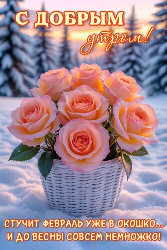 Открытка С ДОБРЫМ УТРОМ! СТУЧИТ ФЕВРАЛЬ УЖЕ В ОКОШКО... И ДО ВЕСНЫ СОВСЕМ НЕМНОЖКО!