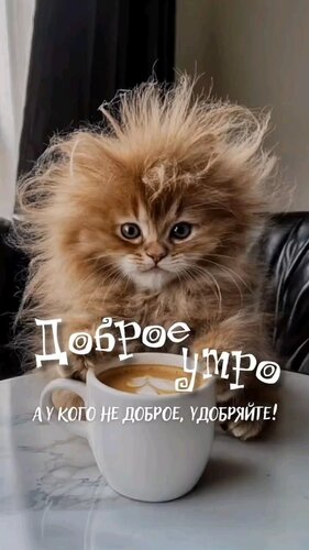 Открытка Доброе утро