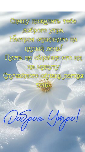 Открытка Спешу пожелать тебе доброго утра