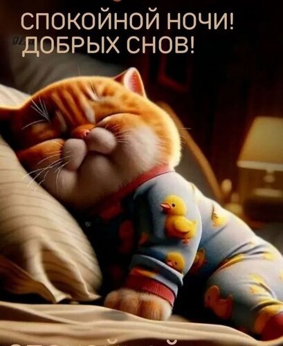 Открытка спокойной ночи