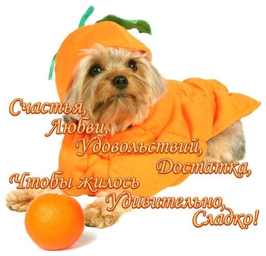 Открытка счастья