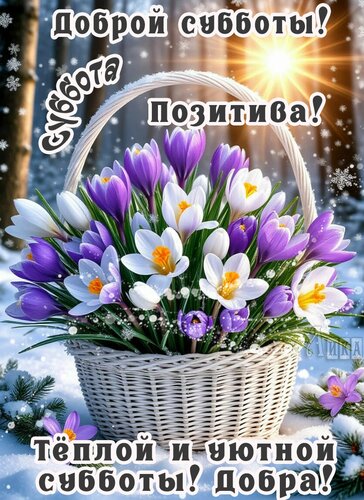 Открытка Суббота