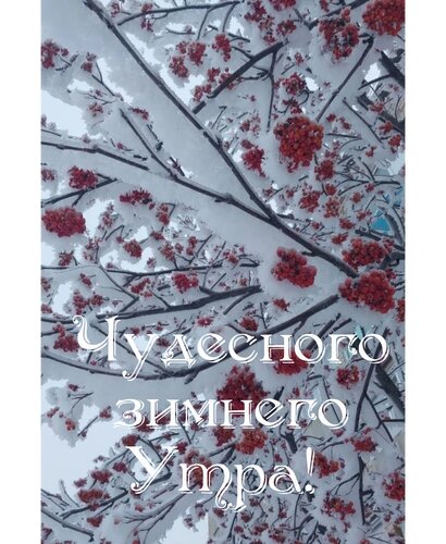 Открытка Чудесного зимнего утра!