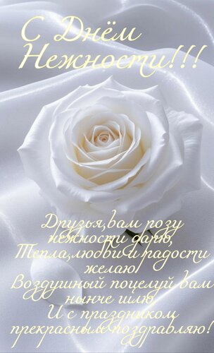 Открытка С днём нежности. Друзья вам розу нежности дарю