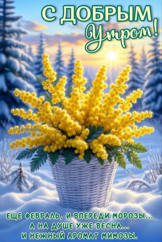 Открытка С добрым утром! Еще февраль, и впереди морозы... А на душе уже Весна... И нежный аромат мимозы.