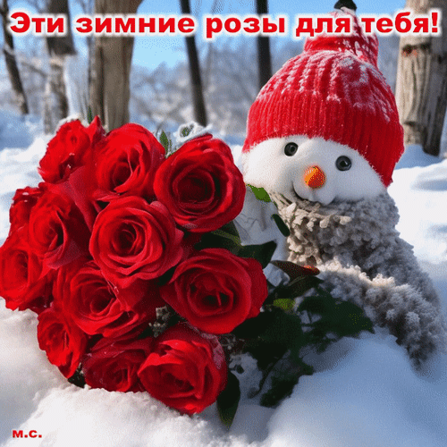 Анимированная открытка Эти зимние розы для тебя!, (М. С.)