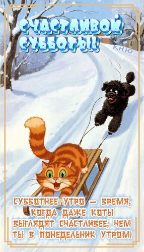 Открытка Счастливой субботы. Субботнее утро- время, когда даже коты выглядят счастливее, чем ты в понедельник